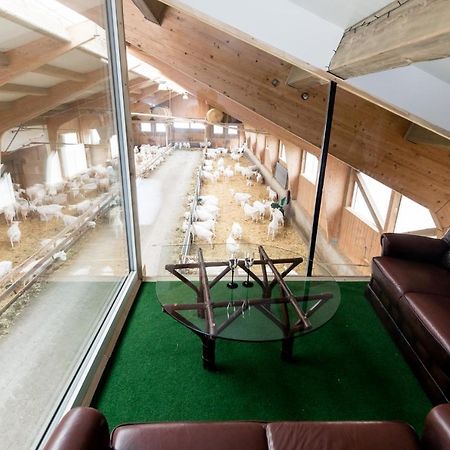 Auszeit Am Ziegenhof Nur Fuer Erwachsene Lägenhet Schlierbach Exteriör bild